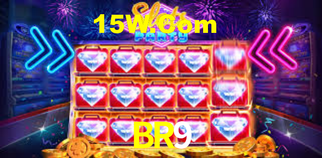 Premium Interface BR9